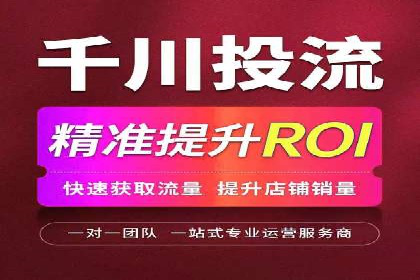 SEM服务公司助力品牌崛起案例